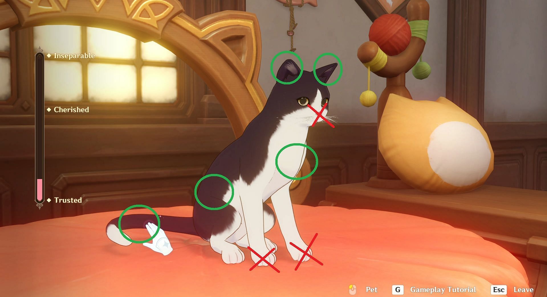 Best petting spots for Dopey (Image via HoYoverse)